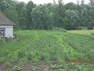 Гмирянка з panoramio.com