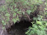 Городківка з panoramio.com