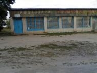 Студинка з panoramio.com