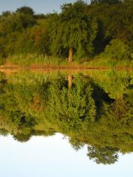 Журівка з panoramio.com