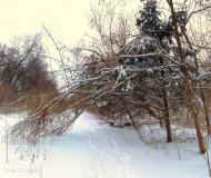 Кримка з panoramio.com