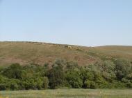 Красне з panoramio.com