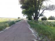 Савин з panoramio.com