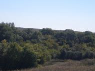 Передериево - Последние фото