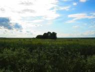 Підлісне з panoramio.com