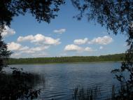 Піски-Річицькі з panoramio.com