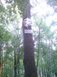 Іволжанське з panoramio.com