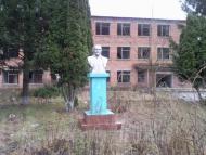 Биківка з panoramio.com