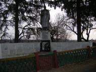 Верба з panoramio.com