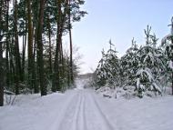 Пугачівка з panoramio.com