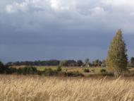 Півнівщина з panoramio.com