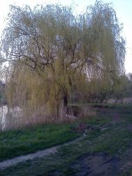 Козятин з panoramio.com - Kozyatyn