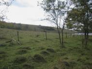 Глибоке з panoramio.com