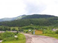 Лопушне з panoramio.com