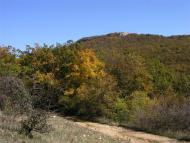 Поляна з panoramio.com