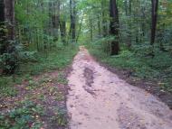 Кияниця з panoramio.com