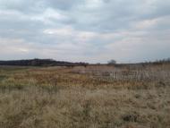 Рогачі з panoramio.com