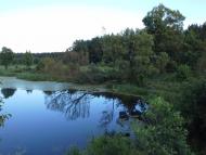 Скригалівка з panoramio.com