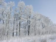 Войнівка з panoramio.com