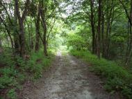 Пашенівка з panoramio.com