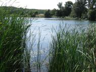 Андріївка з panoramio.com