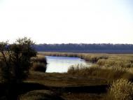 Степове з panoramio.com