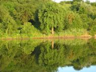 Журівка з panoramio.com