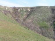 Челюскінець з panoramio.com