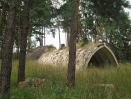 Кулики з panoramio.com