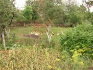 Дмитрівка з panoramio.com