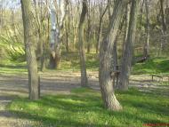 Велика Андрусівка з panoramio.com