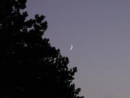 Баловне з panoramio.com