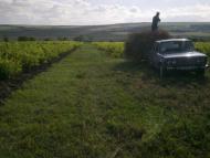 Юр'ївка з panoramio.com