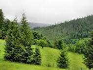 Орявчик з panoramio.com