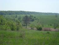 Прелесне з panoramio.com