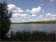 Студинка з panoramio.com