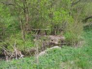 Гордашівка з panoramio.com