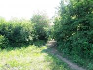 Комуна з panoramio.com