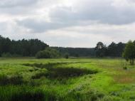 Струмок з panoramio.com