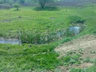 Голованівськ з panoramio.com