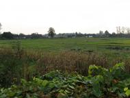 Жари з panoramio.com