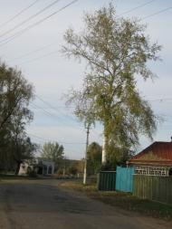 Безруки з panoramio.com