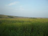 Красне з panoramio.com