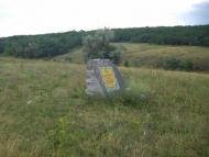 Георгіївське з panoramio.com