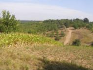 Моринці з panoramio.com