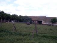 Нові Бутори з panoramio.com