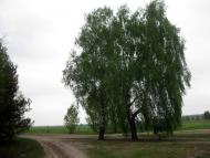 Угриничі з panoramio.com