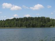 Піски-Річицькі з panoramio.com