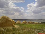 Жовте - Останні фото