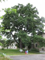 Маріямпіль з panoramio.com